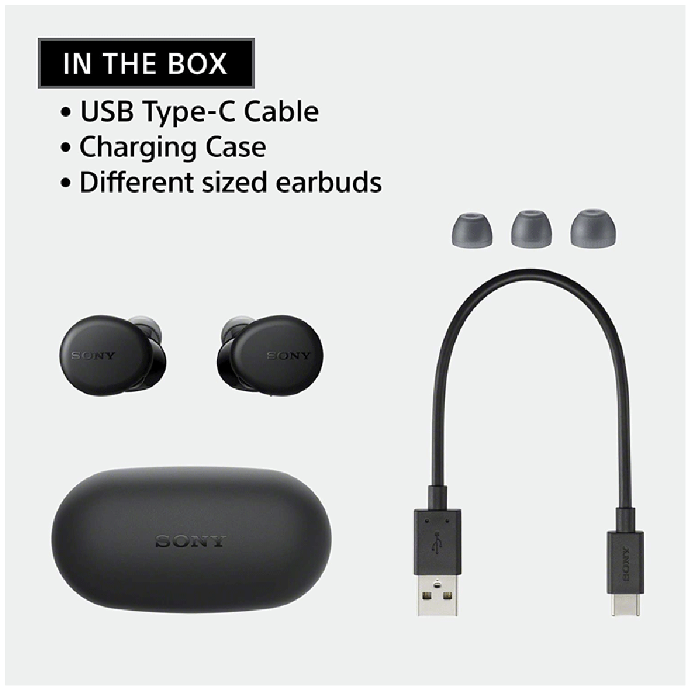 SONY WF XB700 TWS Earbuds with Active Noise Cancellation IPX4 Water Resistant 18 Hours Playback Black